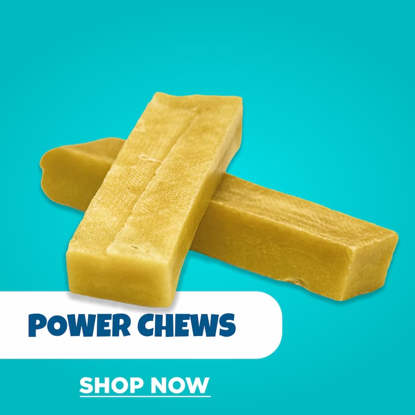 power chews shop now