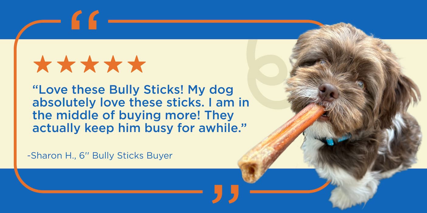 6" bully stick review