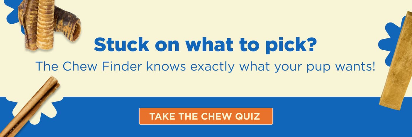 take the chew finder quiz
