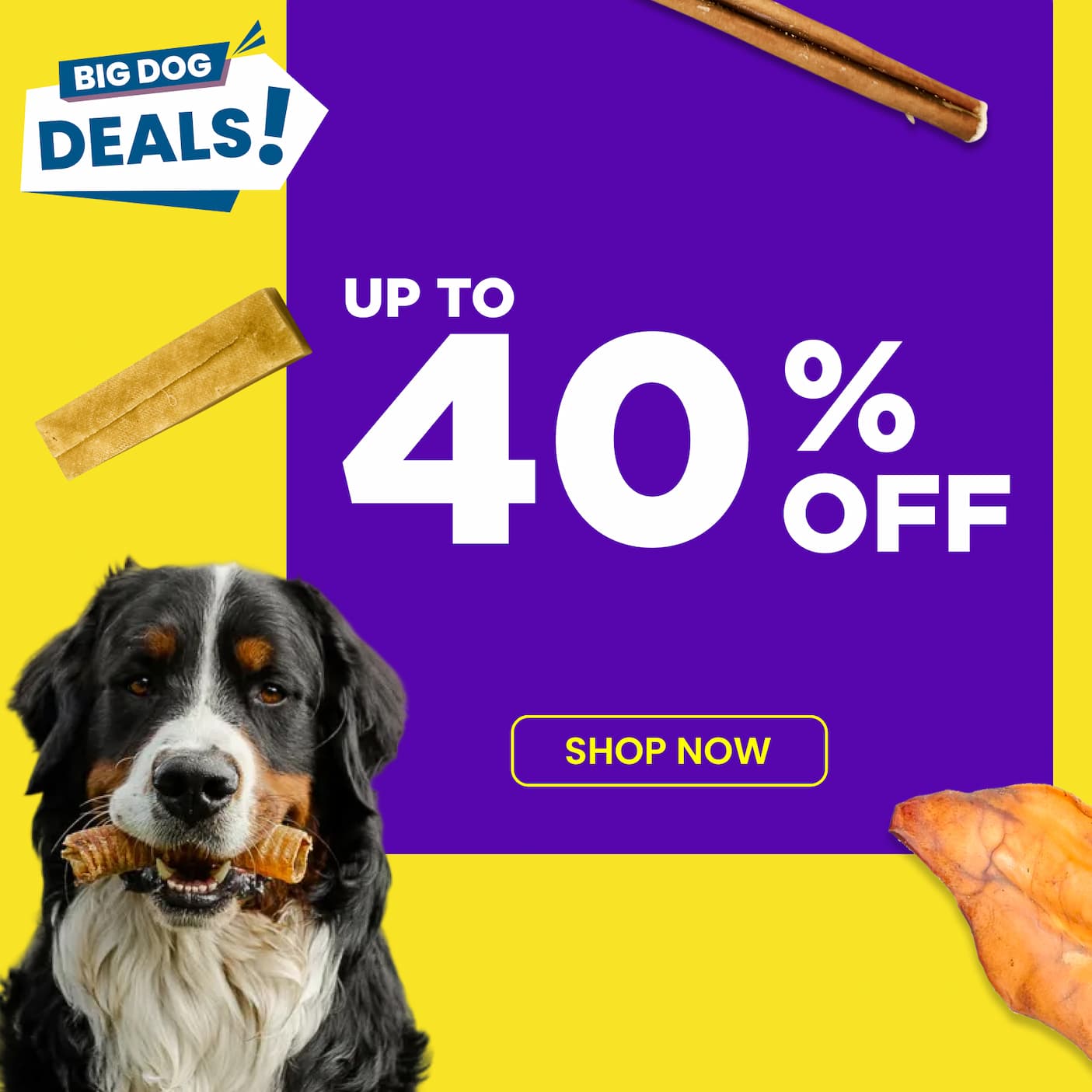 up to 40% off select chews 