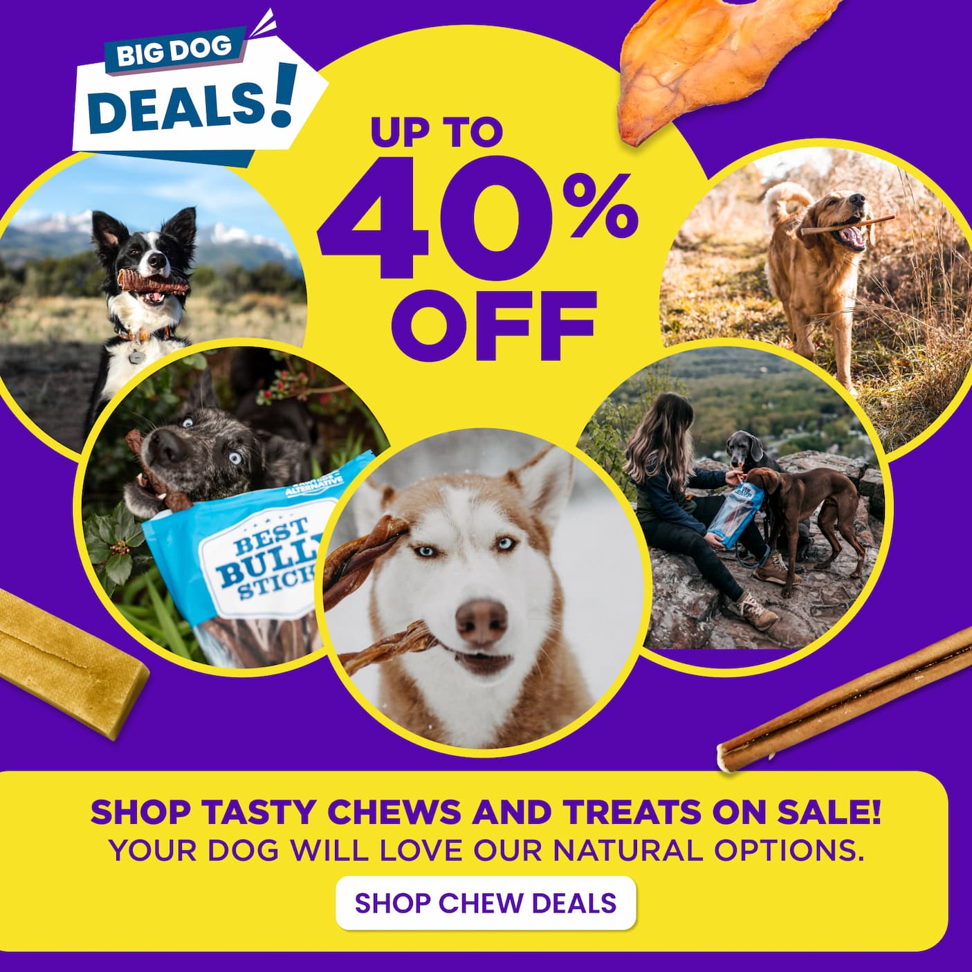 up to 40% off select chews