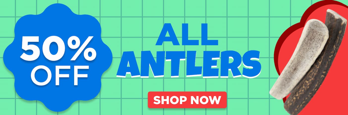 50% off all antlers