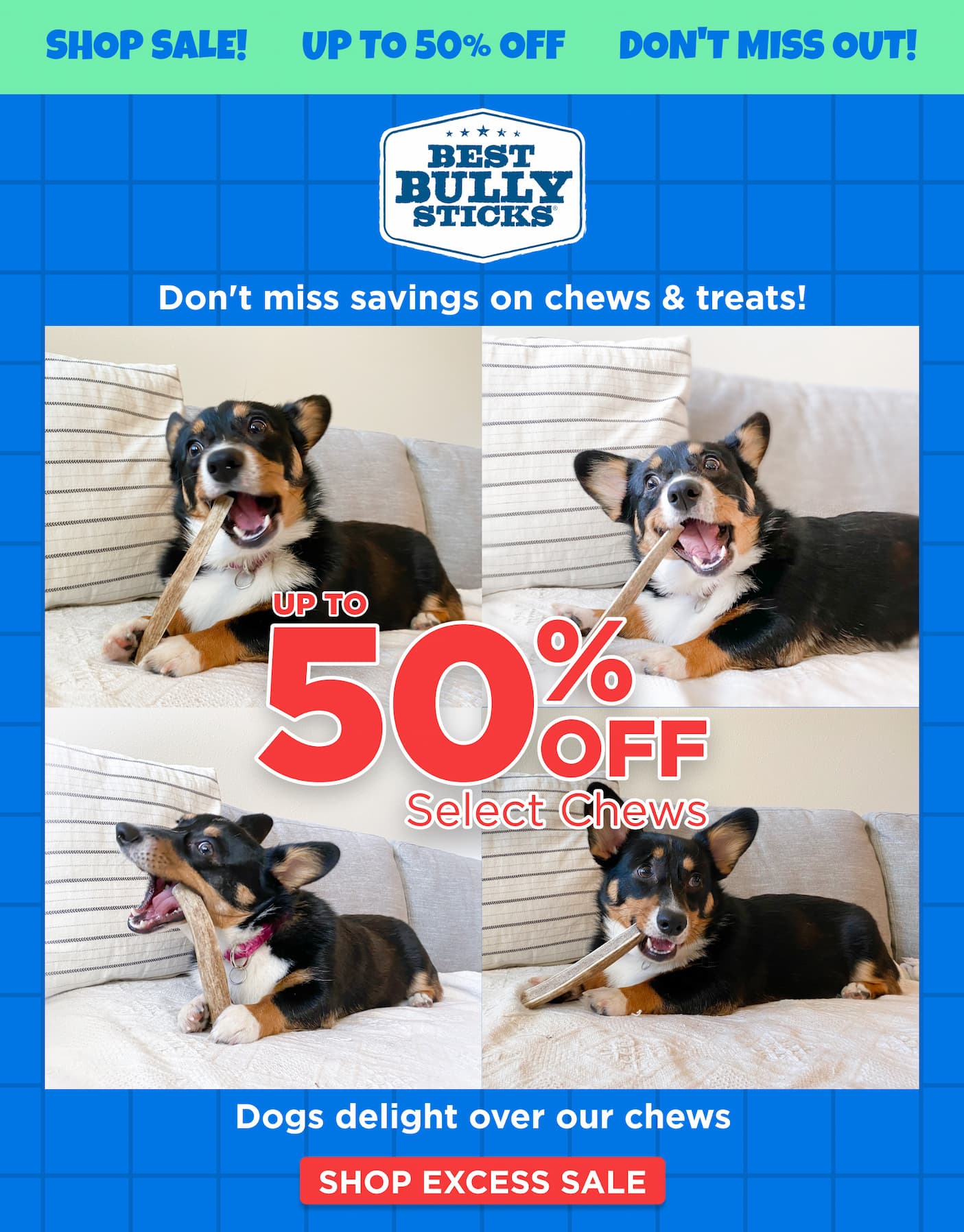 excess sale up to 50% off select chews 