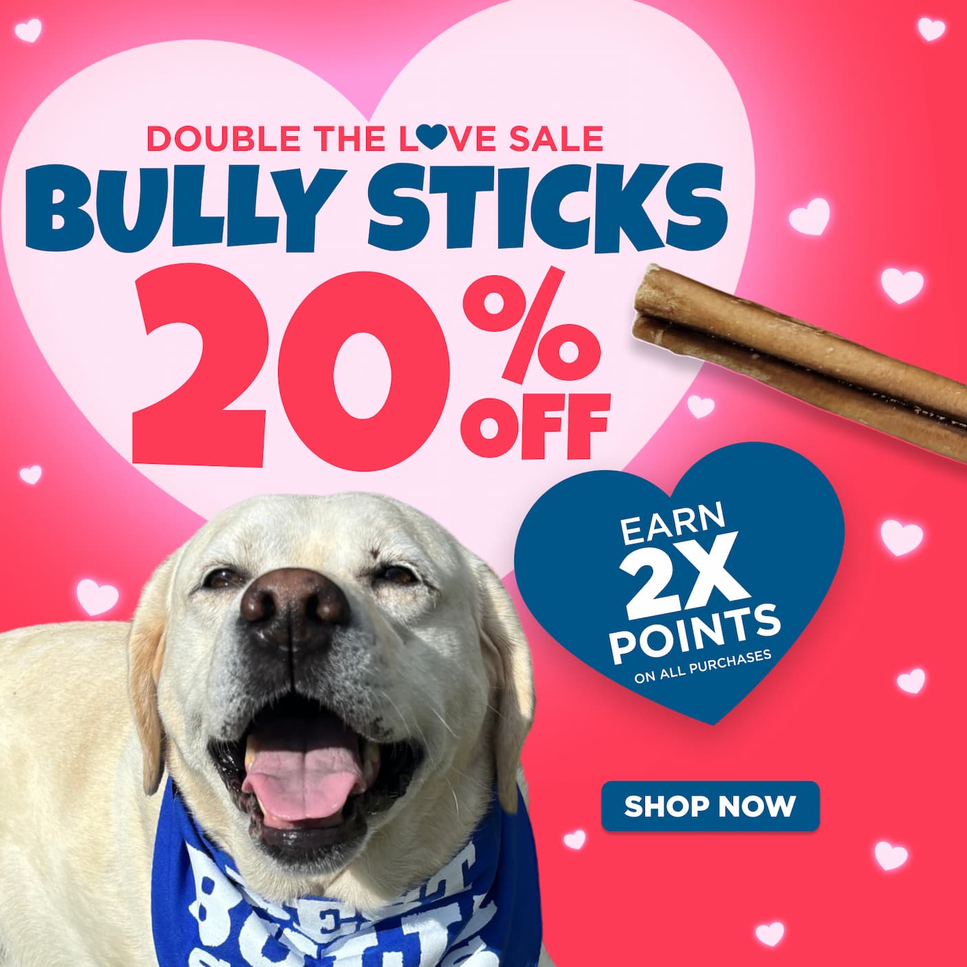 double the love sale 20% off bully sticks & earn 2x points