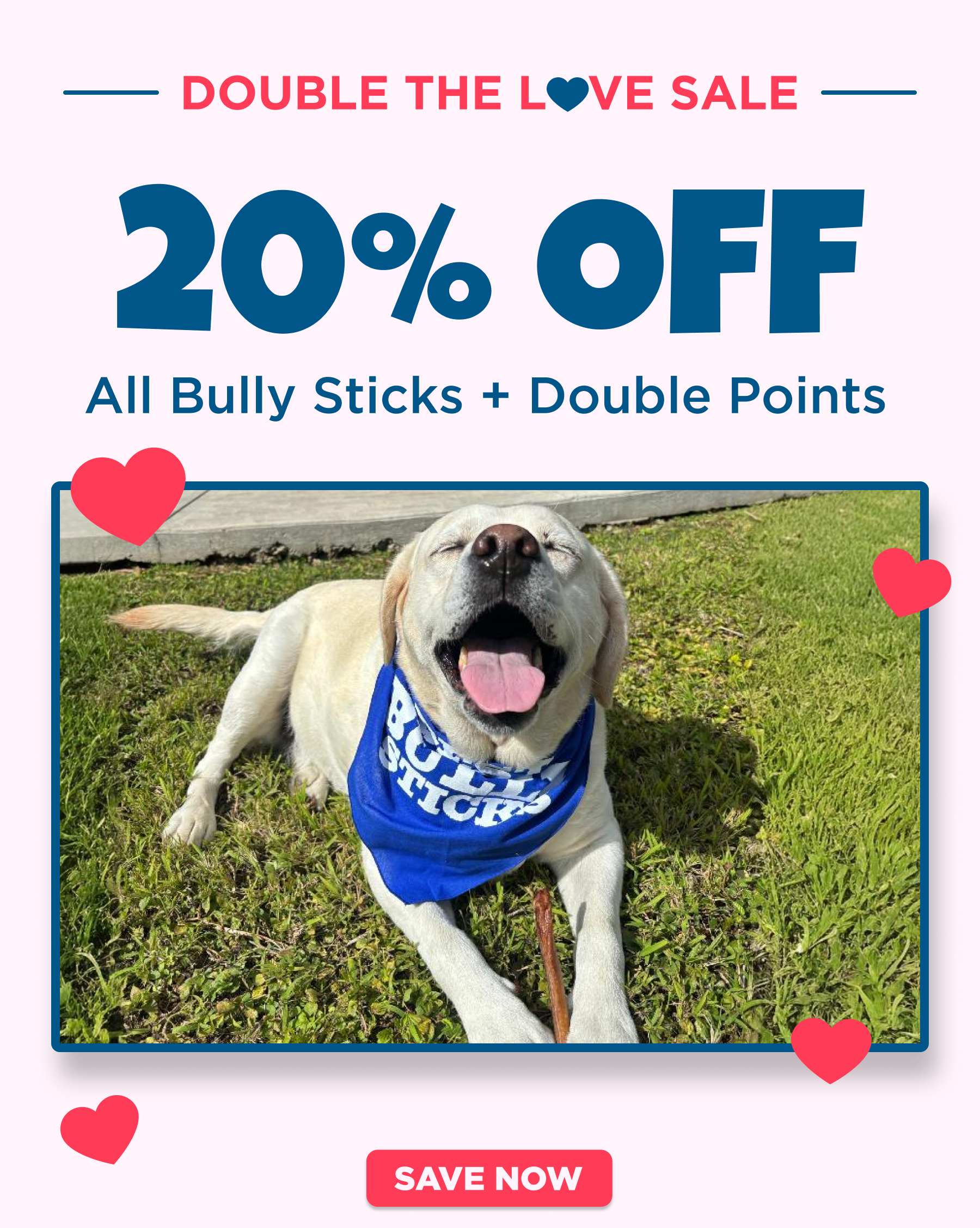double the love sale 20% off bully 2x points all purchases 
