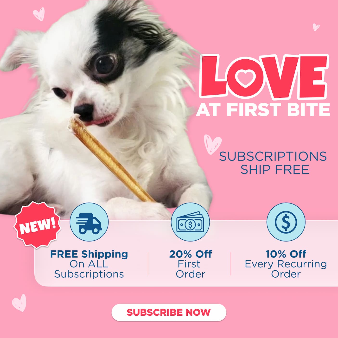 subscription program - free shipping, 20% off first order, 10% off recurring