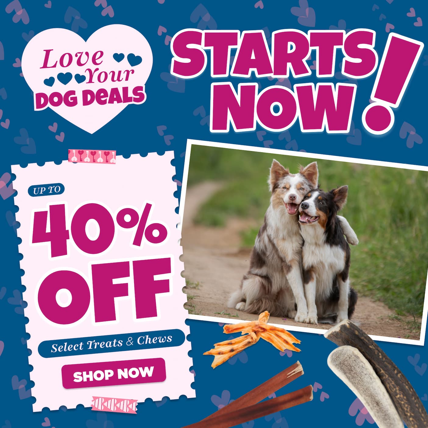 up to 40% off select chews love your dog deals