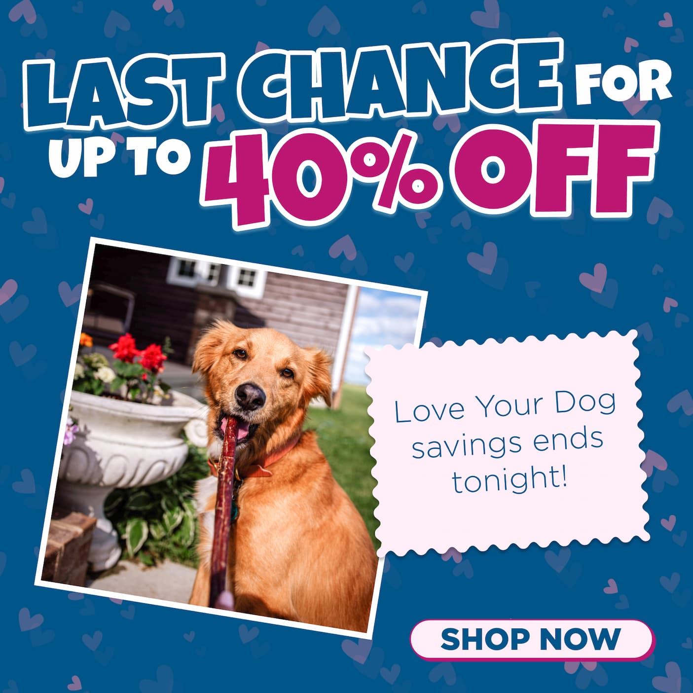 love your dog sale - up to 40% off select chews shop now