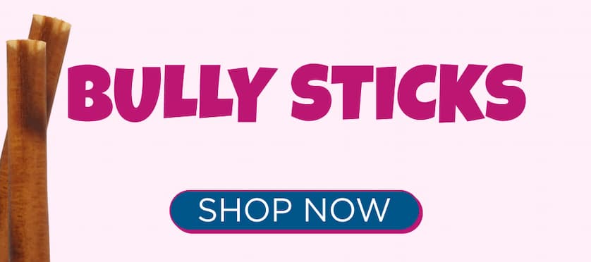 bully sticks - shop now