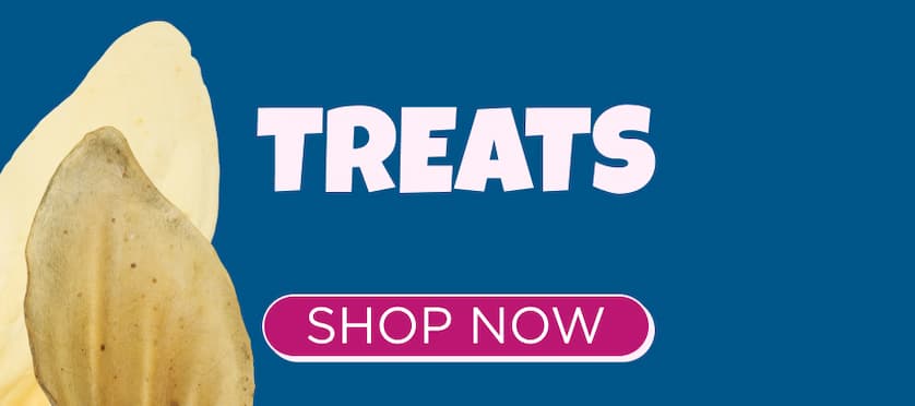 treats - shop now