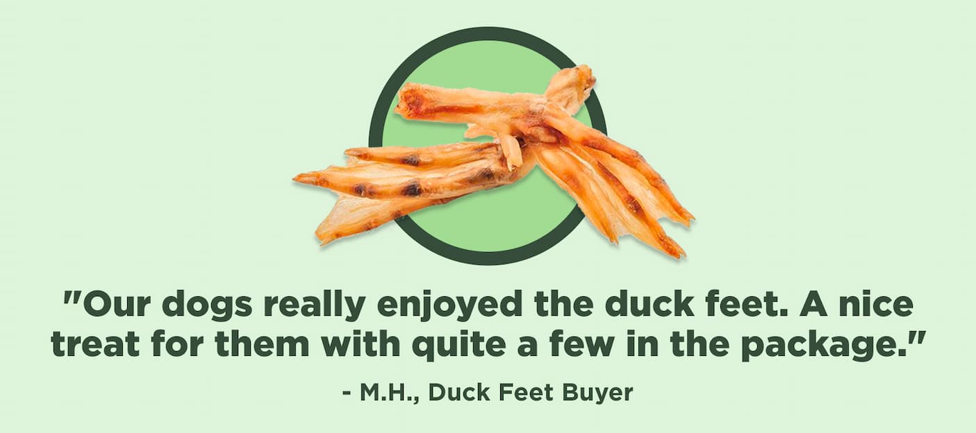 duck feet review