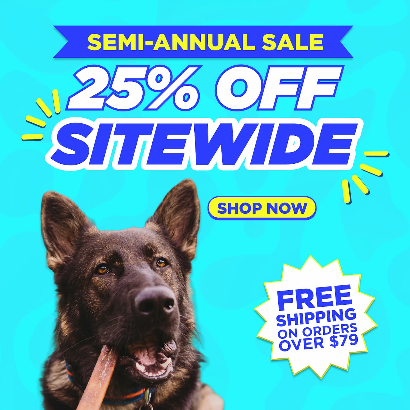 semi annual sale 25% off sitewide sale shop now