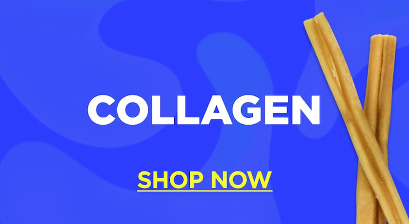 collagen sticks shop now