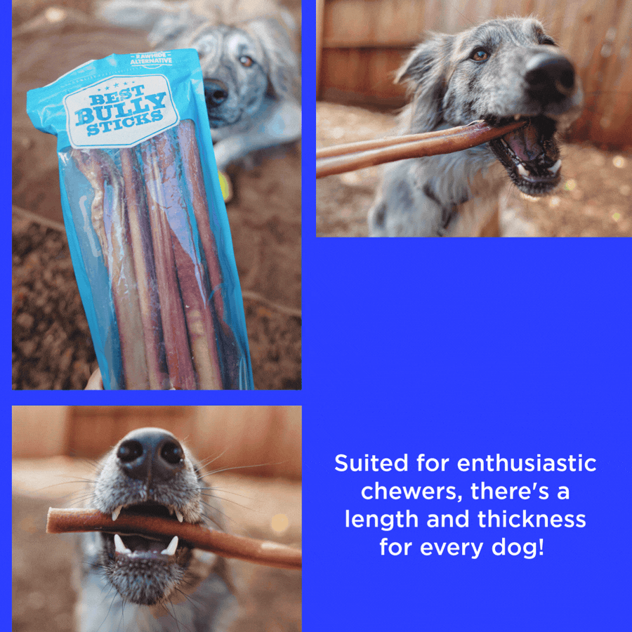 bully sticks - save 25% + additional savings!