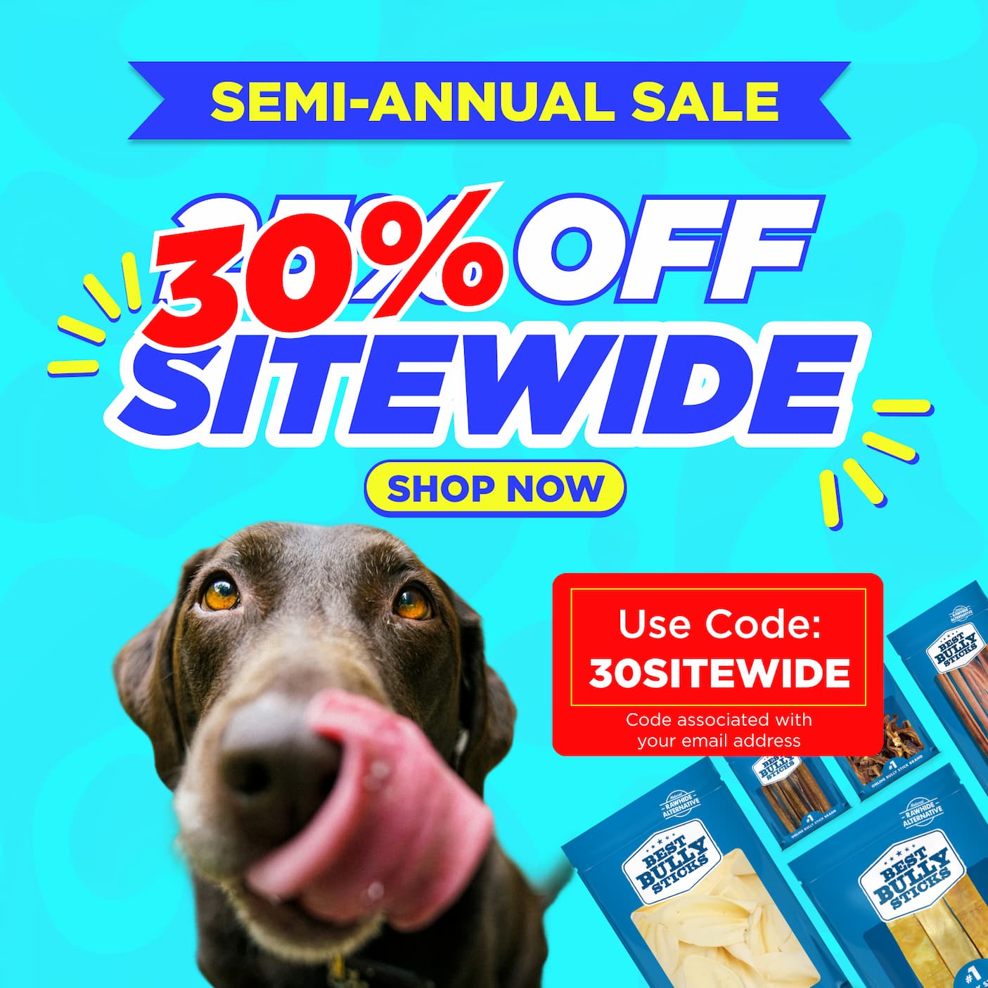 semi annual sale 30% off sitewide use code 30SITEWIDE