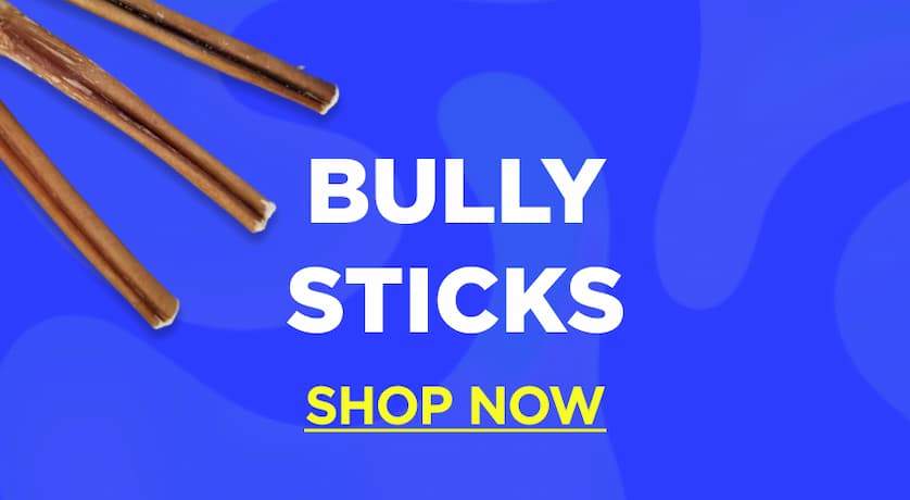 bully sticks shop now