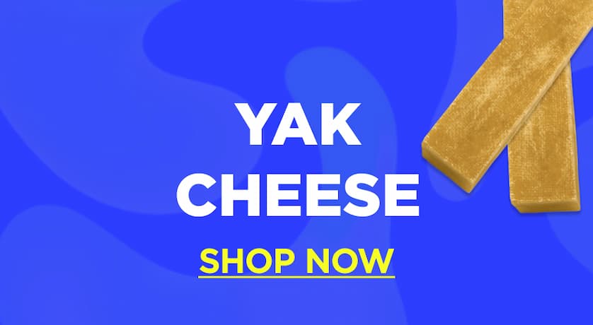 yak cheese shop now