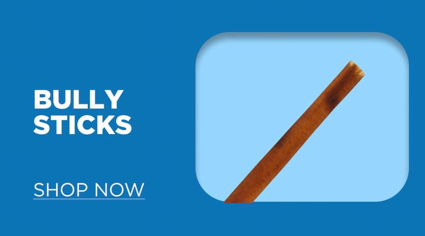 bully sticks - shop now