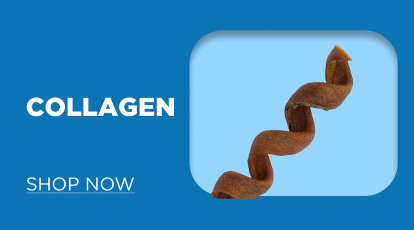 collagen - shop now