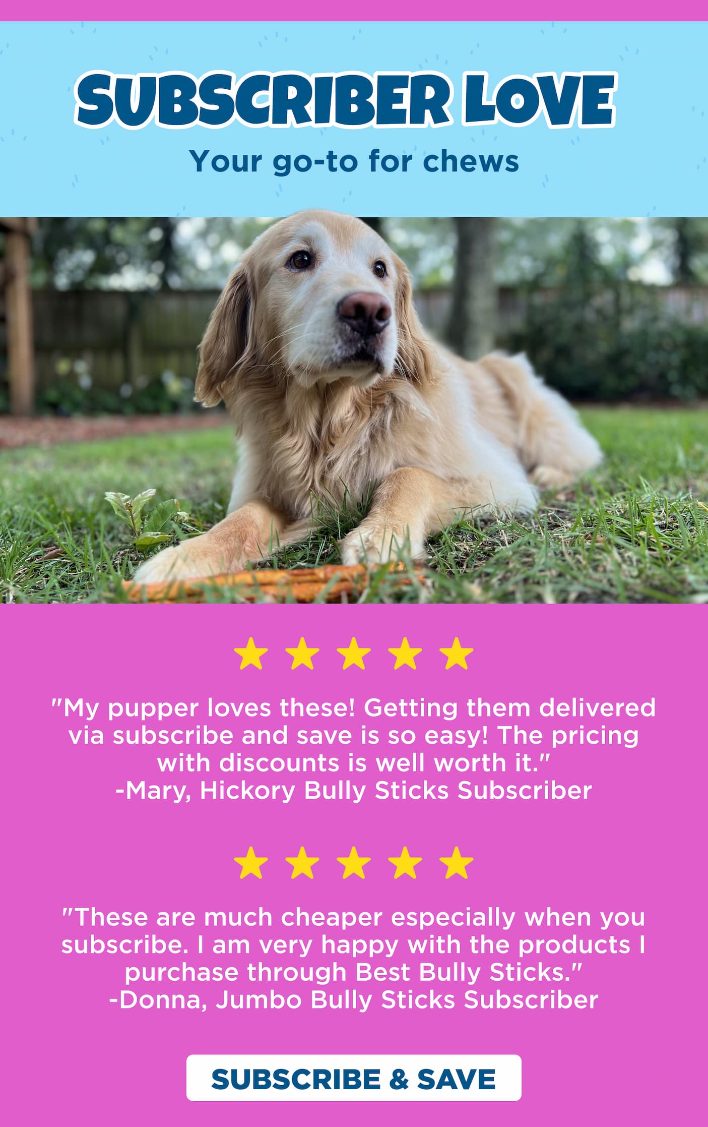reviews of subscription program