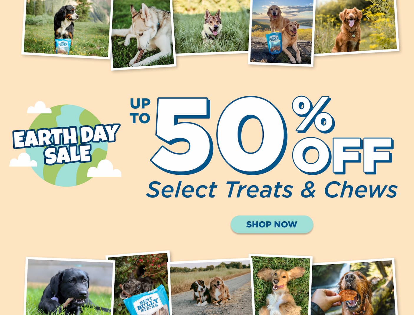 earth day sale up to 50% off sustainable chews 