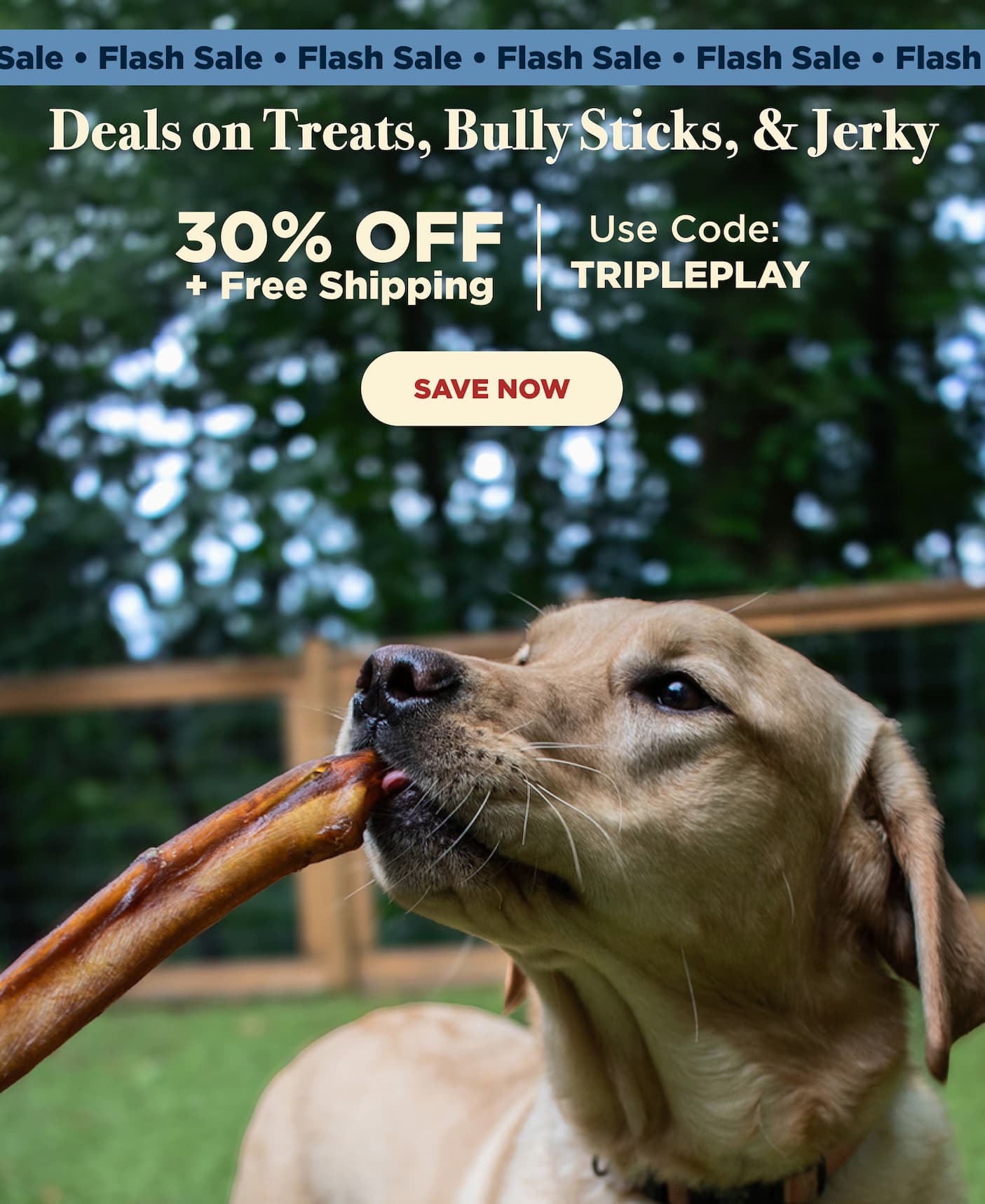 30% off and free shipping now! free ship code tripleplay