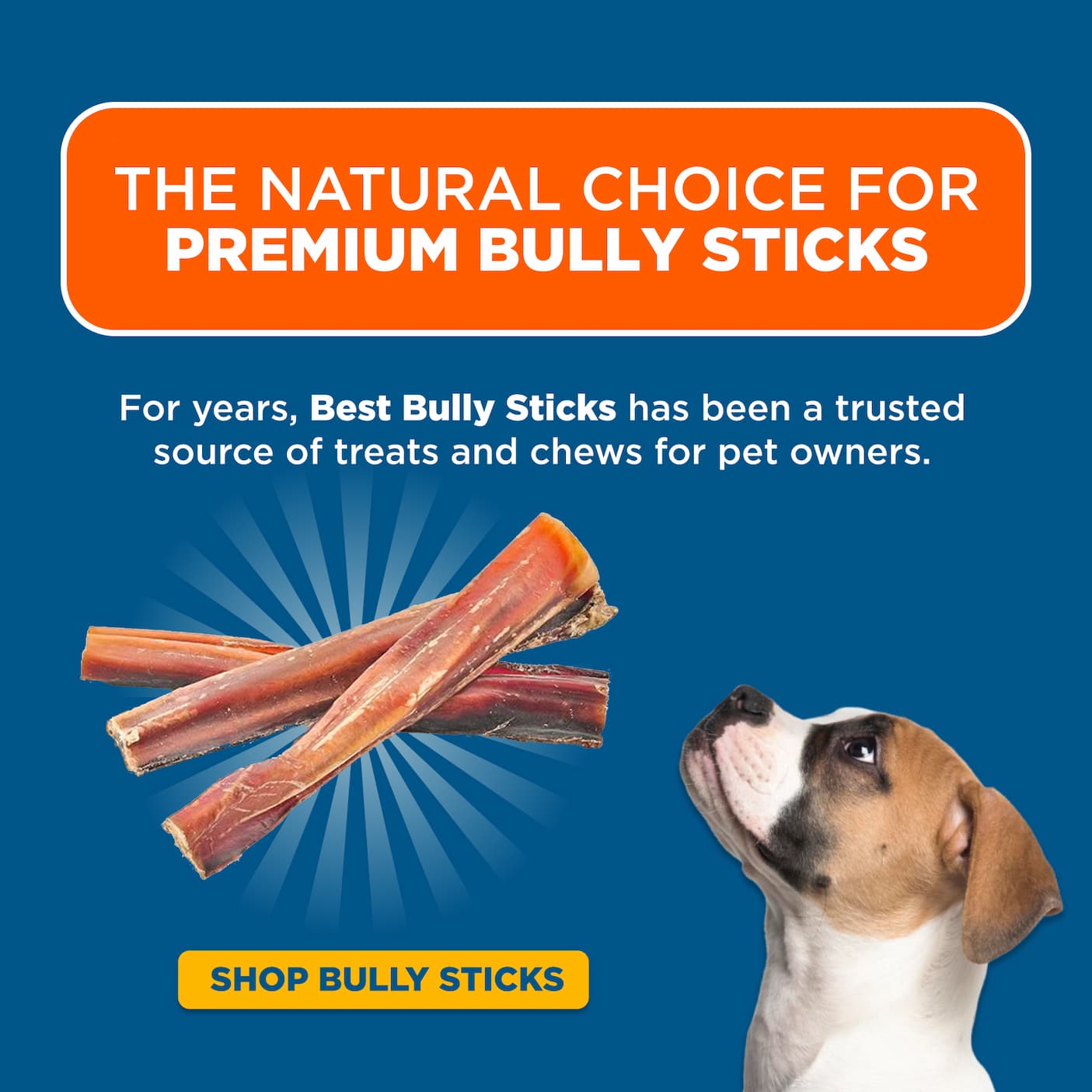 shop the natural choice for premium bully sticks