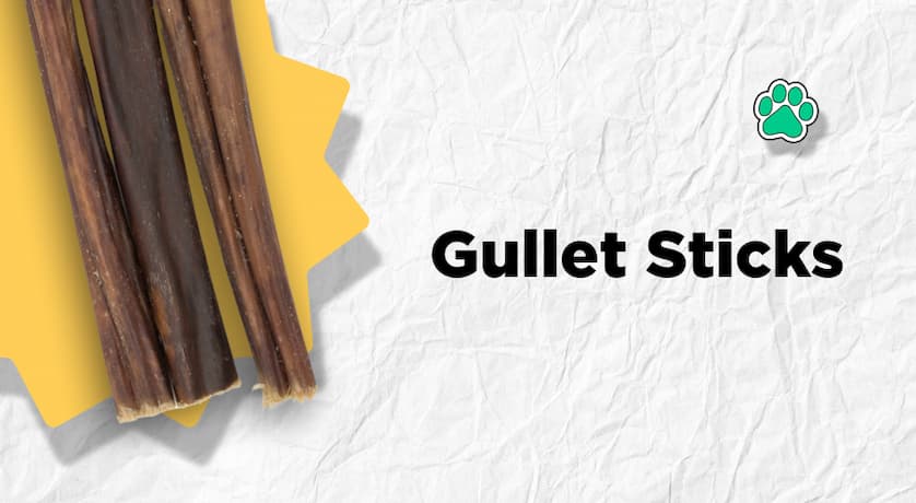 gullet sticks
