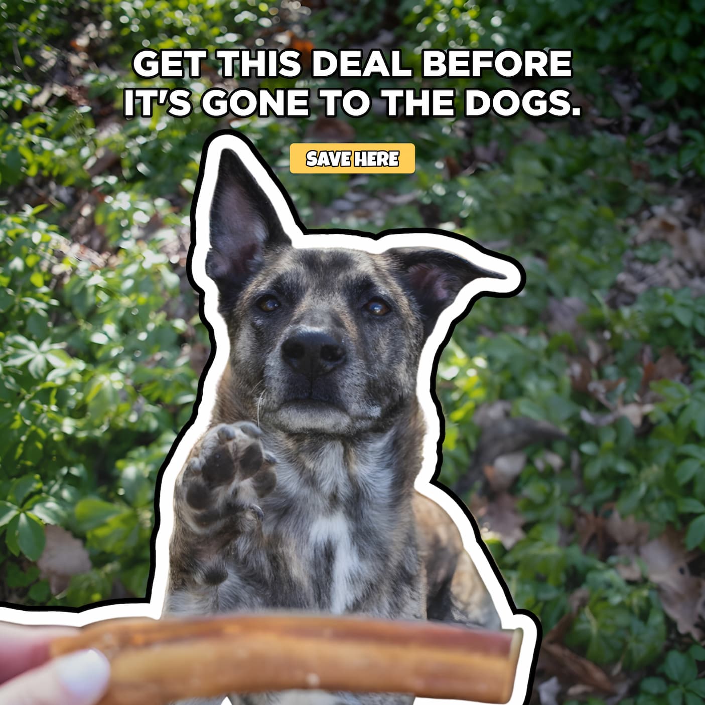 get this deal
