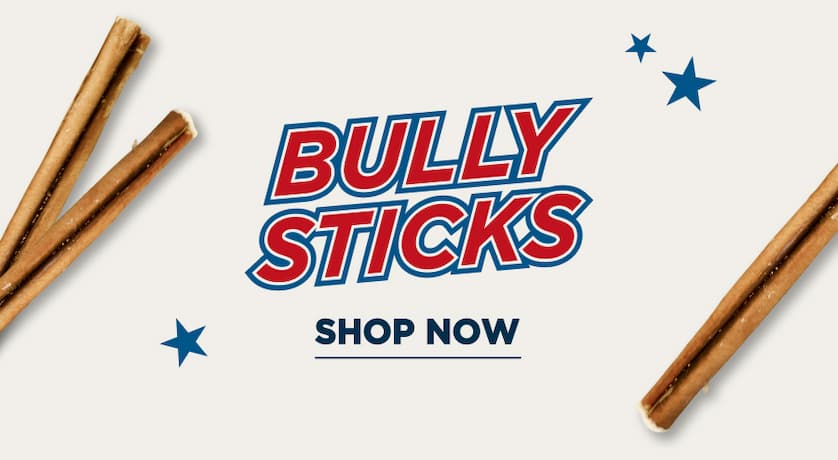 bully sticks - shop now