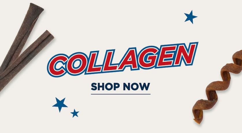 collagen - shop now