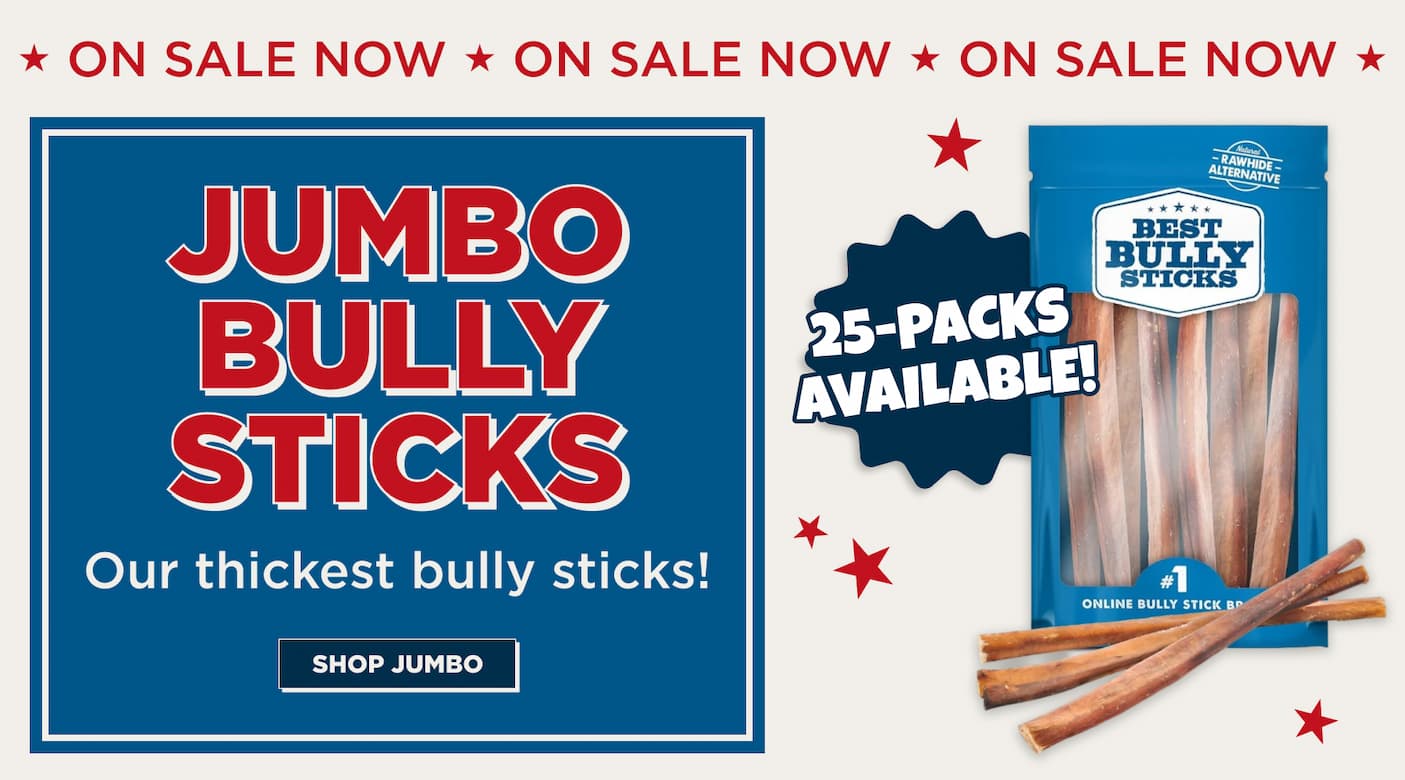 on sale now jumbo bully sticks