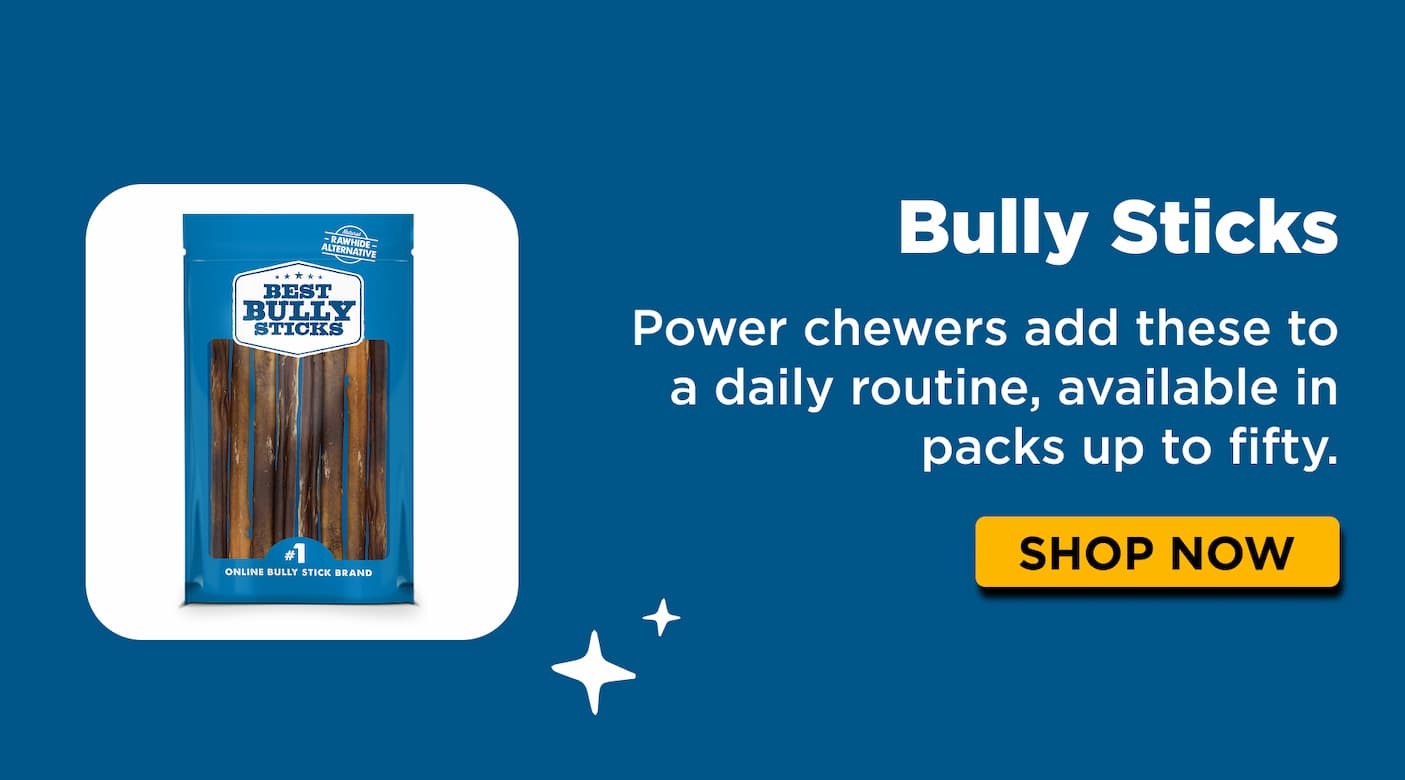 bully sticks shop now