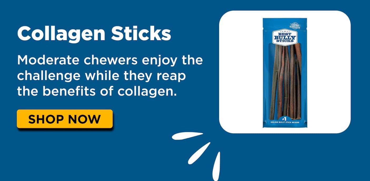 collagen shop now