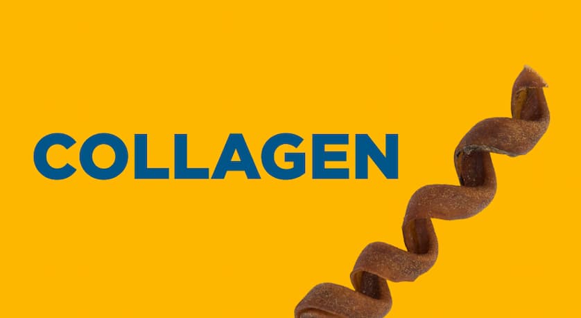 Collagen - shop now