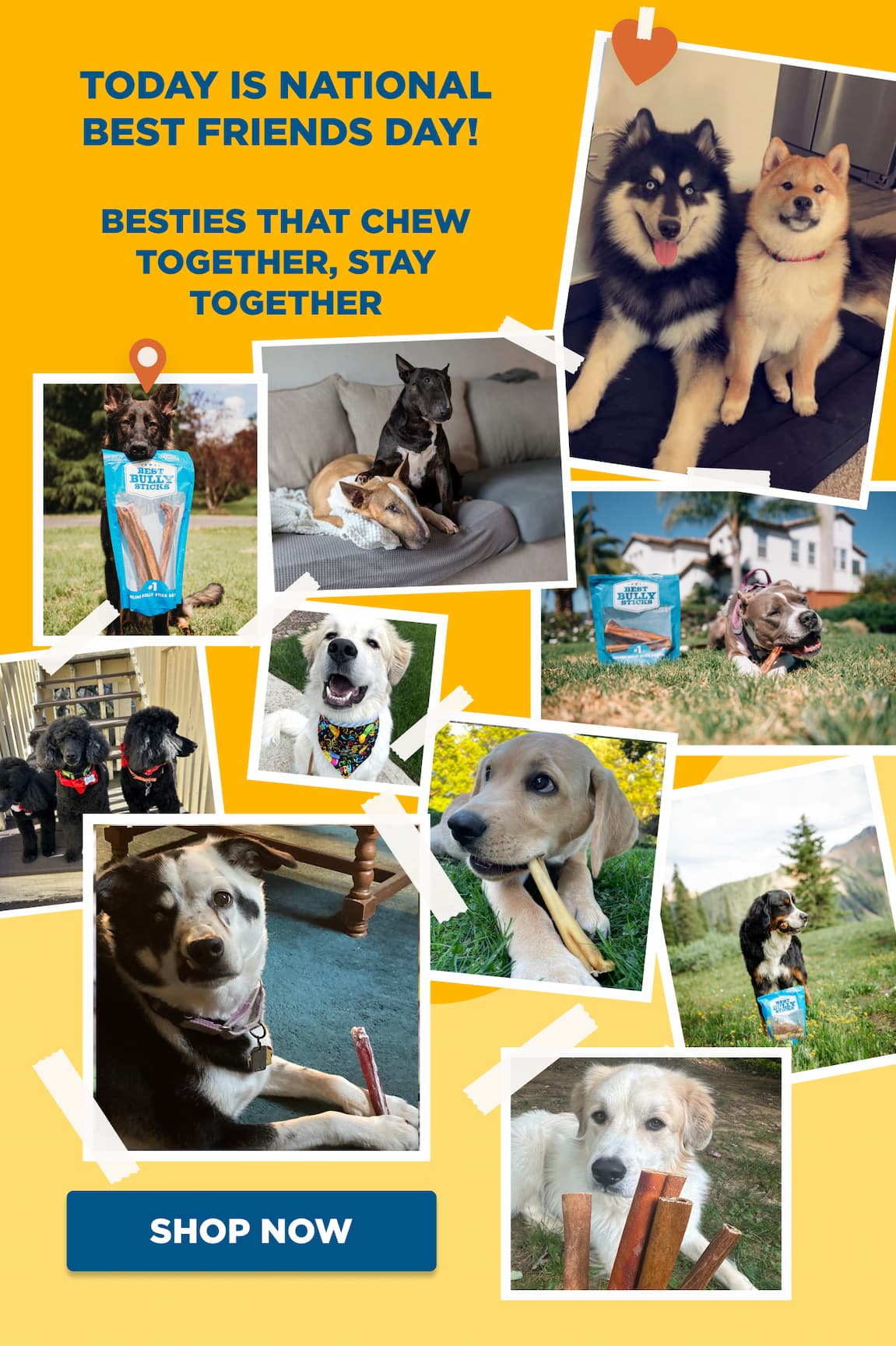 best friend collage