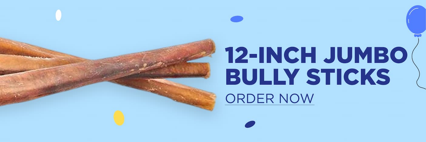 12" jumbo bully stick