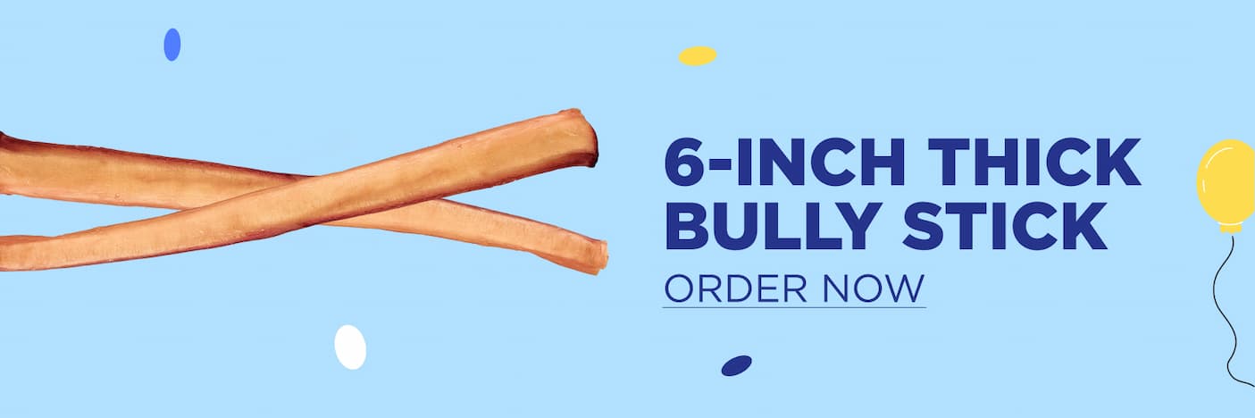 6" thick bully stick