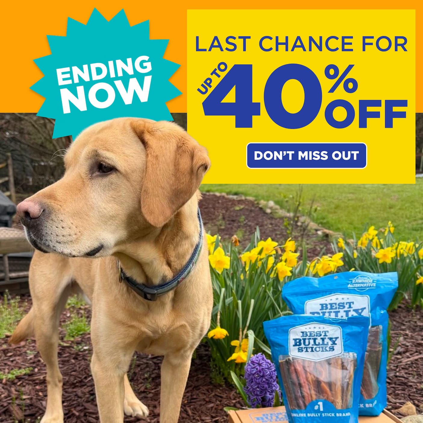 last chance up 40% off flash sale shop now