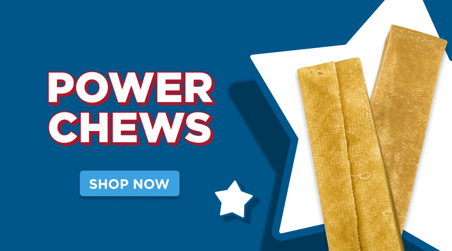 power chews - shop now