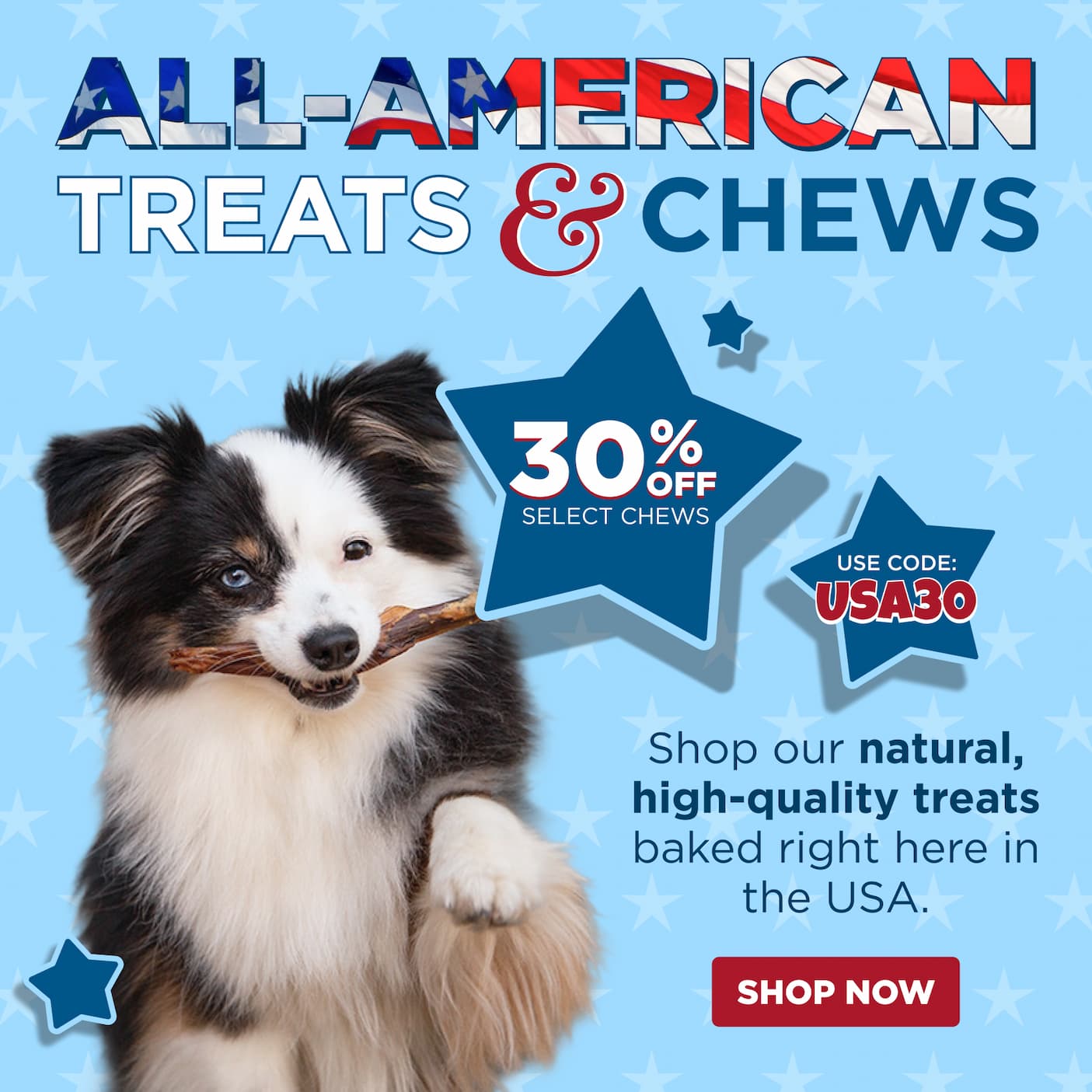 red white chew sale