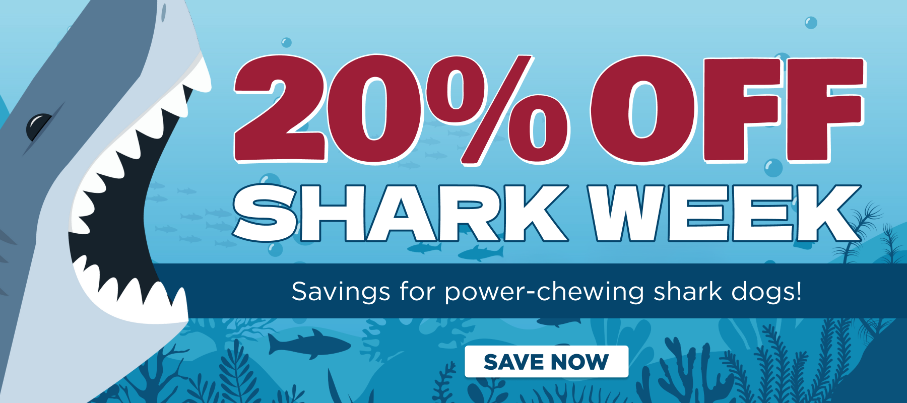 20% off power chews code jaws20