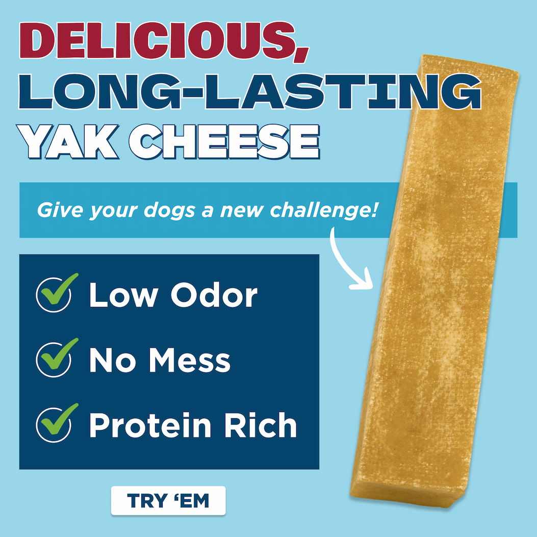 yak cheese benefits 