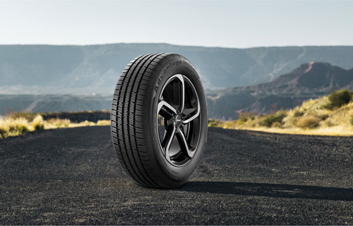 A BFGoodrich tire standing still on the road with mountains in the background