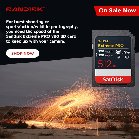 Sandisk