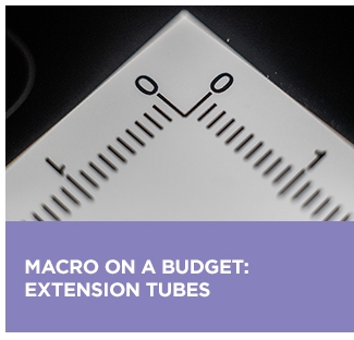 macro budget