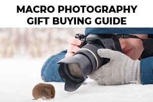 Macro Photography