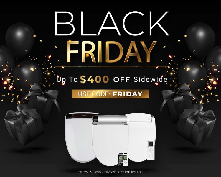 Black Friday Sale