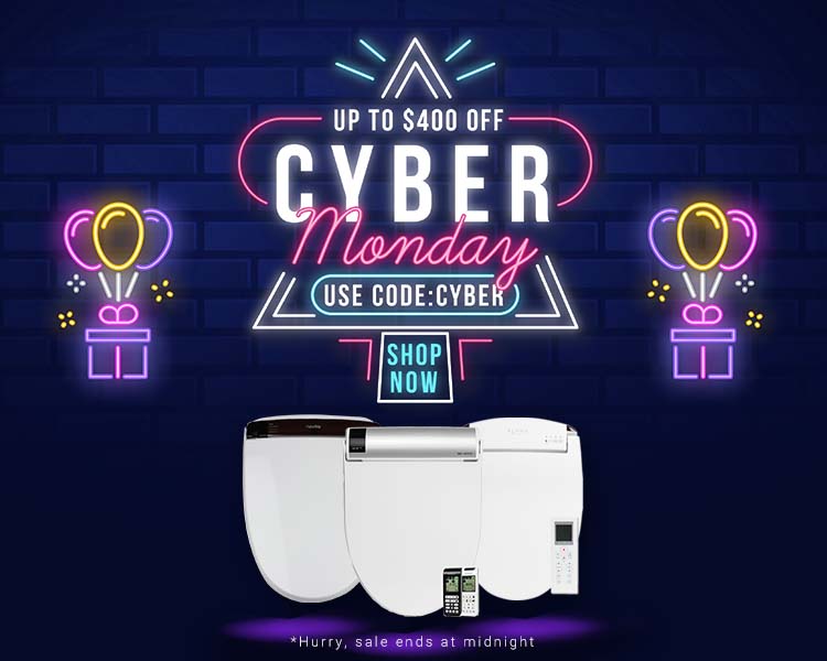 Black Friday Sale