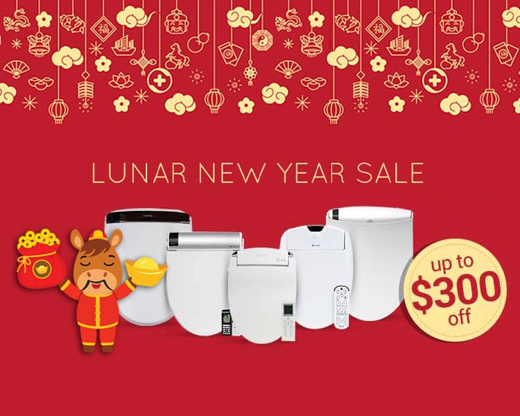 Lunar New Year Savings